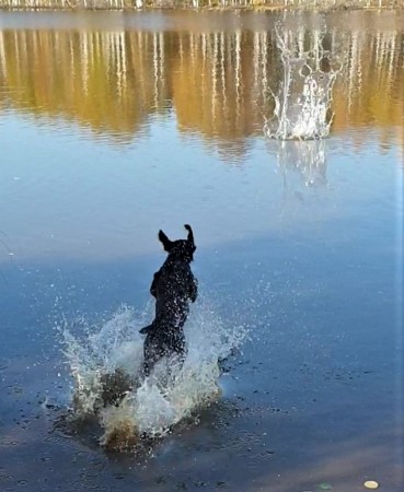 Тренировки на воде